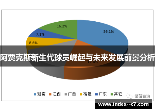阿贾克斯新生代球员崛起与未来发展前景分析