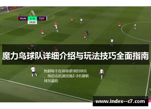 魔力鸟球队详细介绍与玩法技巧全面指南