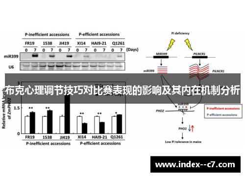 布克心理调节技巧对比赛表现的影响及其内在机制分析