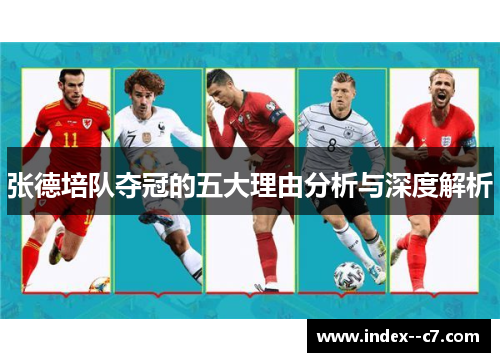 张德培队夺冠的五大理由分析与深度解析