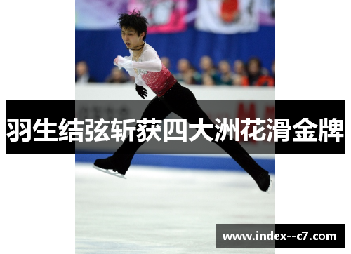 羽生结弦斩获四大洲花滑金牌