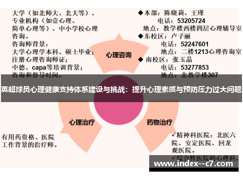 英超球员心理健康支持体系建设与挑战:提升心理素质与预防压力过大问题 英超球员心理健康支持体系建设与挑战:提升心理素质与预防压力过大问题
