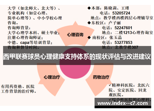 西甲联赛球员心理健康支持体系的现状评估与改进建议